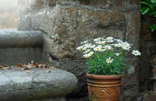 Little Pentower - Photo 28