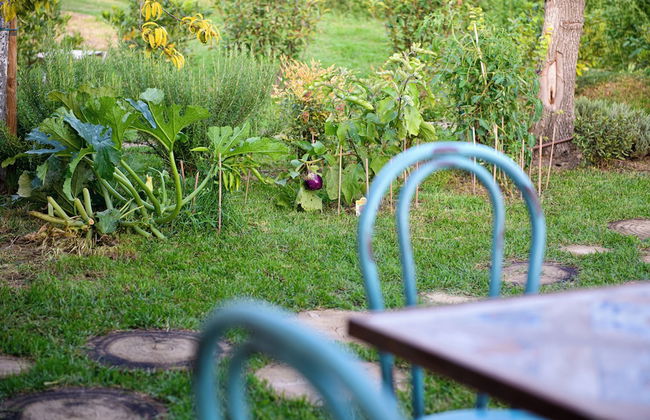 Borgo Antichi Orti Assisi - Photo 39