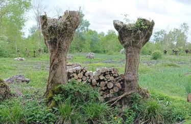 Le logis de LANGE apt Les Aigrettes - Foto 54