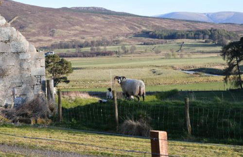 Birch Cottage - Foto 1