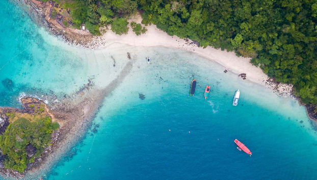 Koh Rang National Park Snorkelling - Foto 4