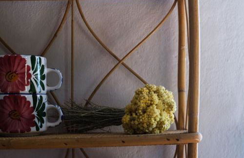 Finca Martina - Foto 8