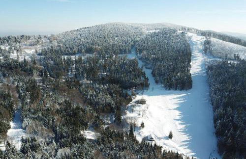 Pod Dębem - Foto 23