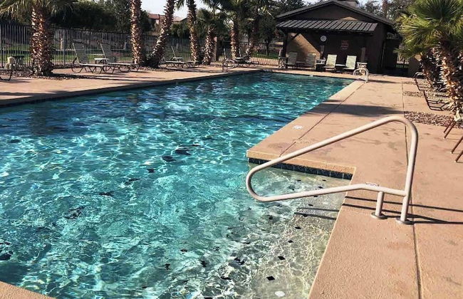 Palmen Maricopa - Foto 25