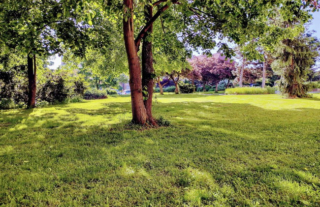 University Hotel - Foto 78