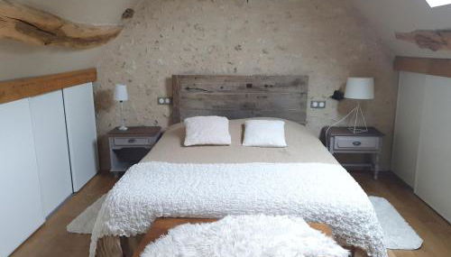 Gîte du "Chat botté" Zoo de Beauval Châteaux de La Loire 4 pers - Foto 2