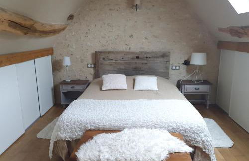 Gîte du "Chat botté" Zoo de Beauval Châteaux de La Loire 4 pers - Foto 2