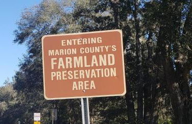 Little Ridge Ranch-East House Quiet Country Getaway-Pet Friendly! - Foto 46