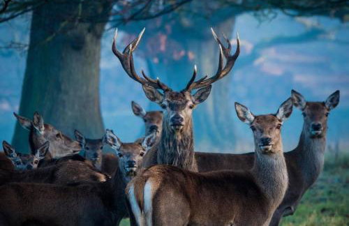 No 1 - Bakewell - Foto 41