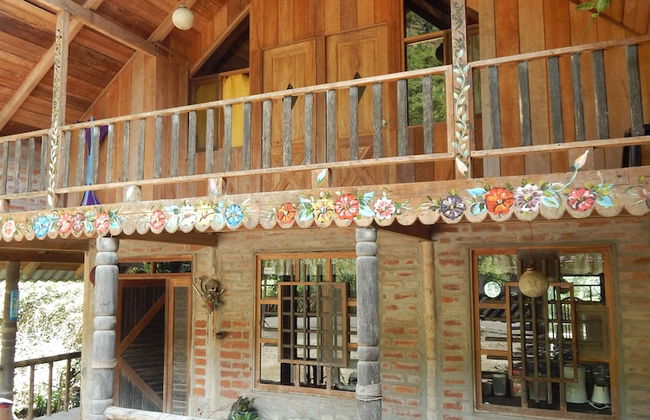 Dogs and Fish Dream Land - Foto 35