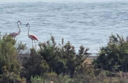 Alma&Mateo - Foto 41