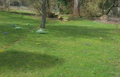 Anna - neue Ferienwohnung mit Blick ins Grüne - Photo 28