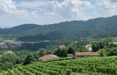 Polisena L'Altro Agriturismo Veg - Foto 5