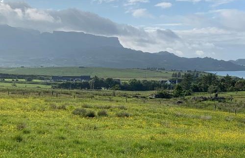 Driftwood Cottage - Photo 42