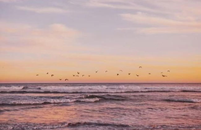 Coral Villa - Luxury Beachfront Villa with Private Pool by Karula - Foto 33