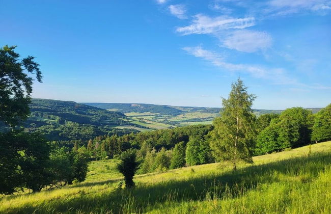 Holiday Home Birx Rhon - Foto 3