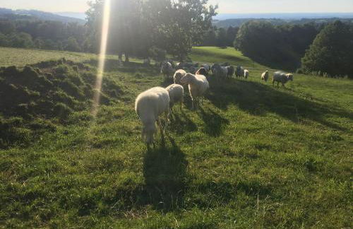 Stadlerhof - Foto 10