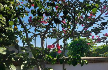 La casetta di Ale - Foto 26