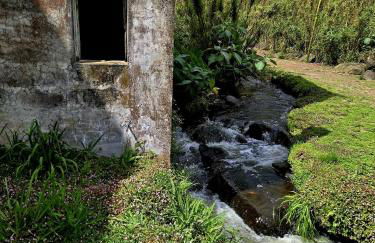 Quinta da Espadana - Photo 80