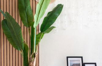 Paz Ocean View, 2 Air Conditioners, Wifi, Heated pool, private parking - Foto 23
