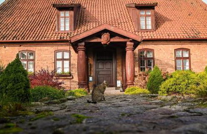 Dworek Mazurski Ruś Gospodarstwo Agroturystyczne - Foto 8