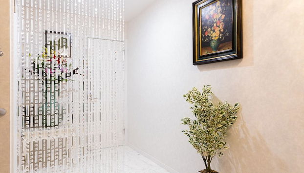 Shirakabanoyado-Season - Photo 2, Interior entrance