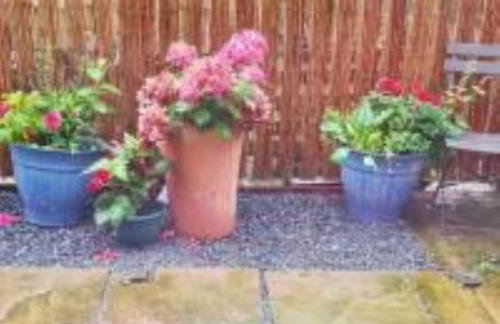 Butterside Cottage in Burtersett near Hawes - Foto 11