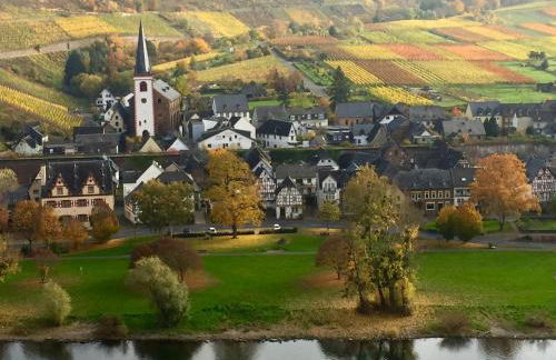 Apartment Mosel-Götterlay - Foto 10