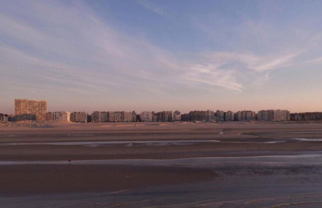 Sunny Escape by the Shore - Photo 30