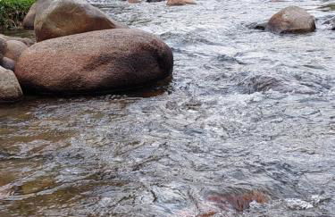 Casa Canto Verde - Foto 68