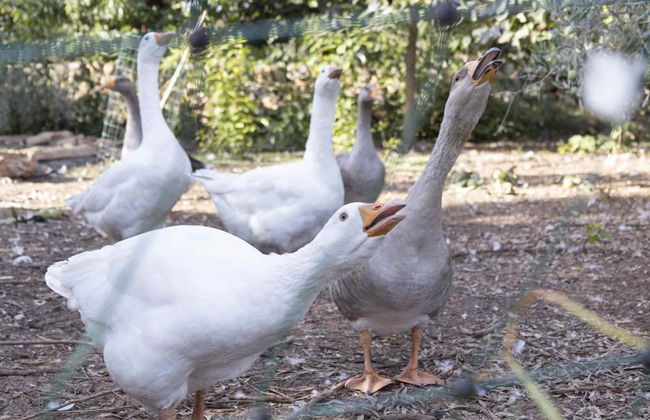 Casale Della Pergola Eco-friendly by the sea - Foto 65