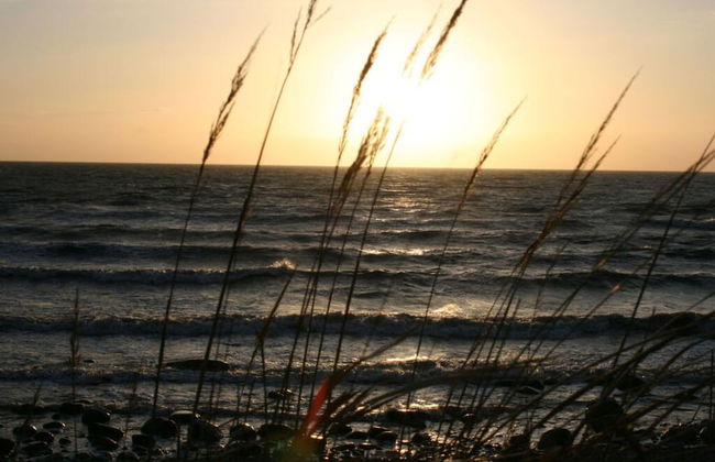 Ostseebrandung - Haus Seestern - Foto 21