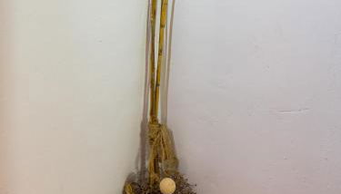 La Casa de los Soportales - Foto 3