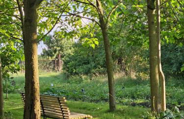 Gartenhaus Schlanstedt - Foto 20