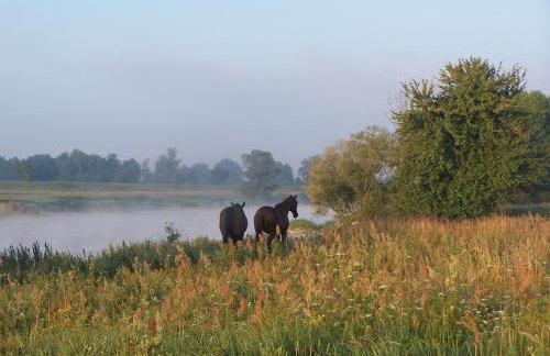 Agroturystyka Nad Wartą - Foto 12
