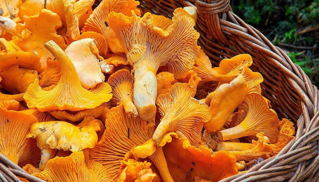 6 Person Holiday Home in Torsby-by Traum - Foto 5, Essen und Trinken