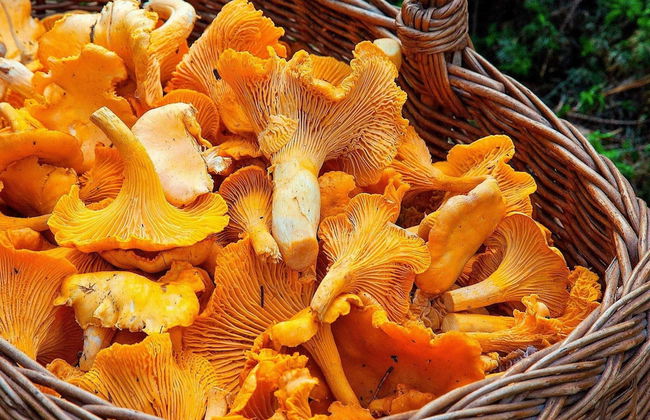 6 Person Holiday Home in Torsby-by Traum - Foto 6