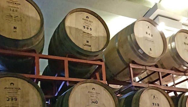 Barricas de vino en Luján de Cuyo