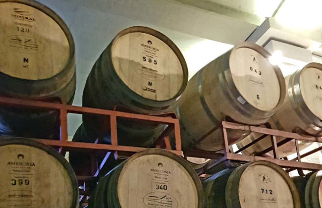 South Luján de Cuyo Wine Region Tour - Photo 3