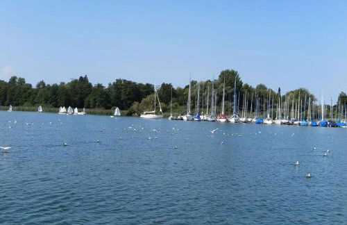 Dennenboomdroom - Foto 53