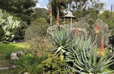 Villa de charme à 250m de la plage, belle vue mer - Foto 6