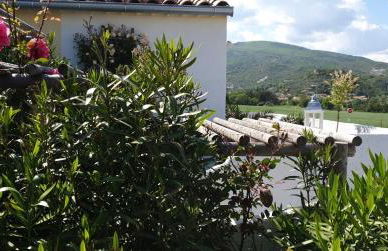 La Salamandre de l Olivier - le Palmier - Foto 18