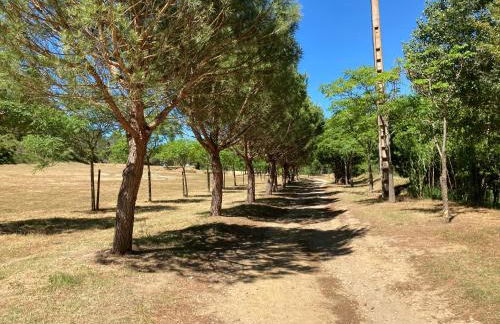 Saint laurent de la cabrerisse Rivière proche Lagrasse - Foto 16