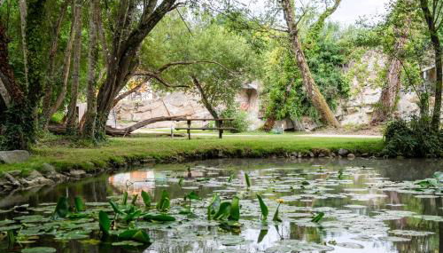 Carrière de la Tour - Foto 2, Garden