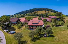 Schwarzwaldliebe - Foto 9