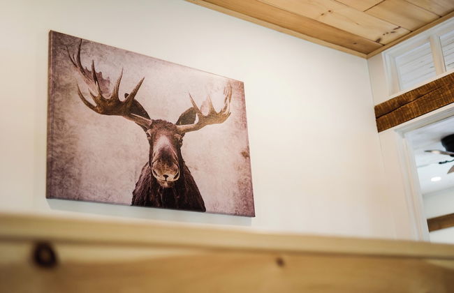 Downtown Greenville Spacious Apartment - Photo 8