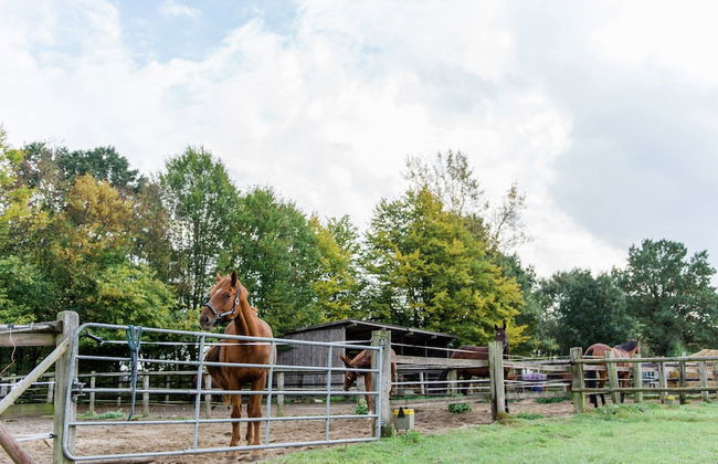 Blockhauser auf Reiterhof in Eschede - Foto 47