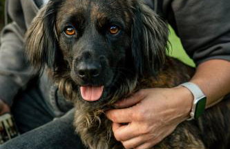 Domek Pierwiosnek Ustroń - cisza, las, balia i totalny relaks - Ucieknij od zgiełku i poczuj spokój natury - Photo 49