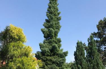 Ferienhaus Riesling - Foto 25