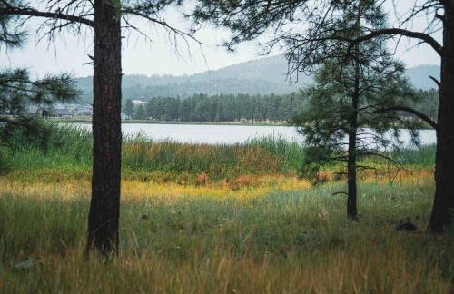 Walk to GC Train Depot and Route 66, king beds, game room, BBQ, firepit - Photo 50